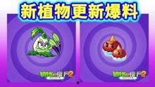 新植物预告爆料视频大全,探索未知植物世界的奇观与奥秘